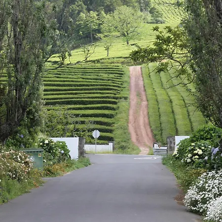 Nocleg ze śniadaniem Basaltic Achadinha