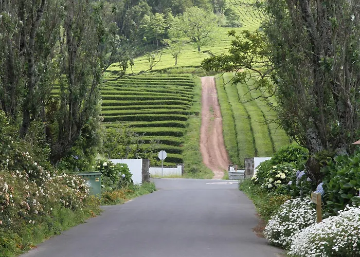 ベッド・アンド・ブレックファスト Basaltic Achadinha